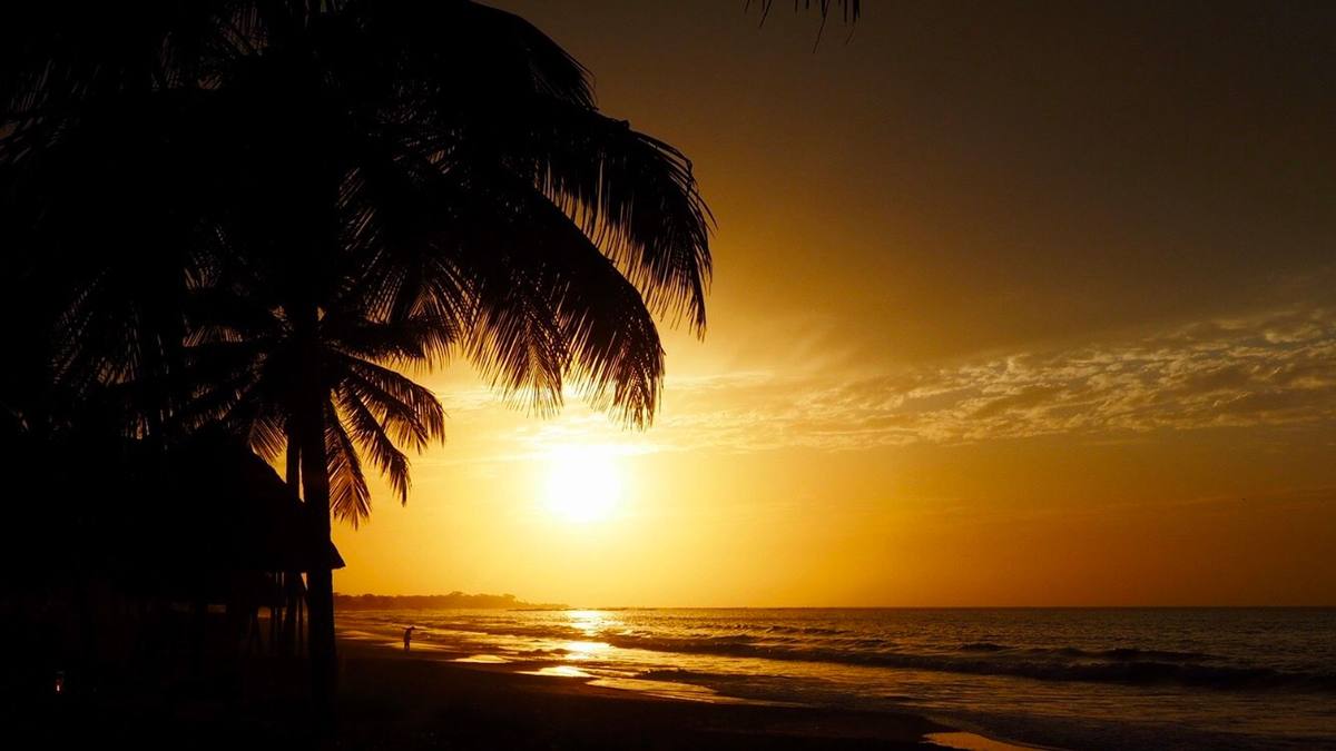 Sunset over the Atlantic on the Gambian coast, palm fronds in silhouette above the beach.
